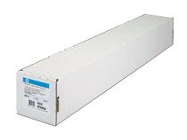 HP Everyday Pigment Ink Satin Photo Paper-914 mm x 30.5 m (36 in x 100 ft)